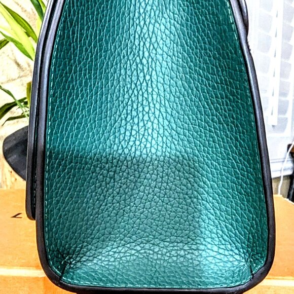 Moynat Rejane Taurrilon leather bag - size PM - Picture 3 of 11